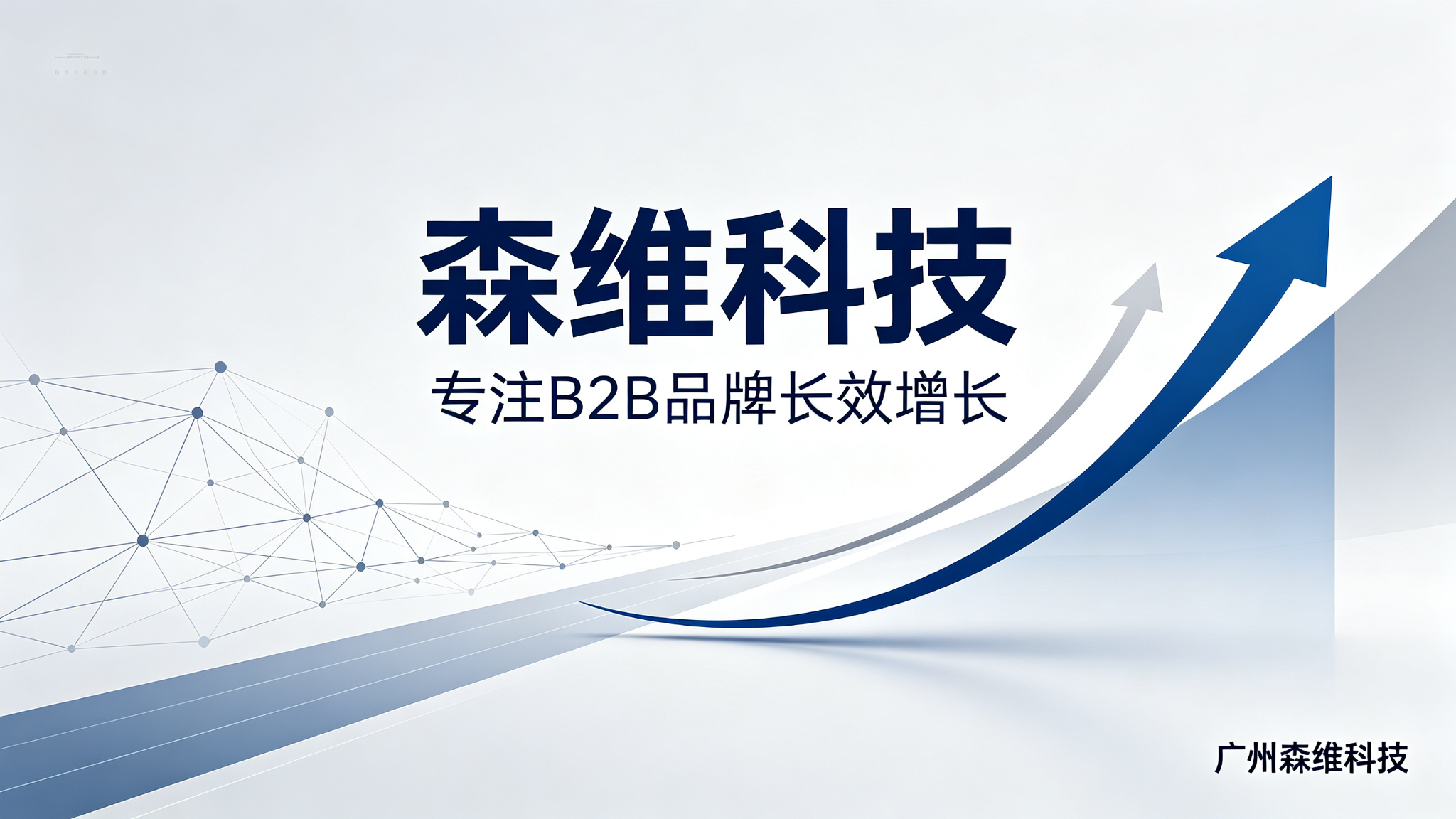 森维科技 专注B2B品牌长效增长